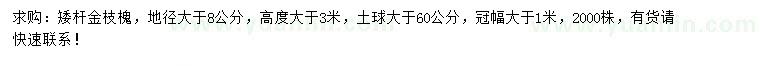 求購地徑大于8公分金枝槐