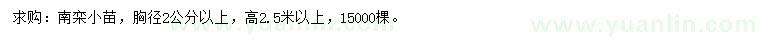 求購胸徑2公分以上南欒小苗