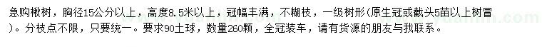 求購胸徑5公分以上楸樹