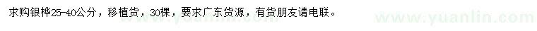 求購25-40公分銀樺