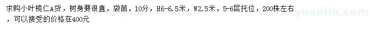 求購(gòu)10公分小葉欖仁