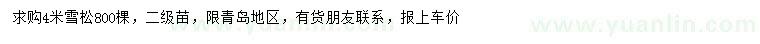 求購4米雪松
