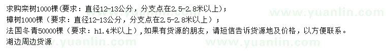 求購欒樹、樟樹、法國冬青