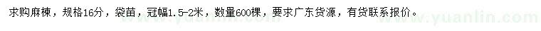 求購16公分麻楝