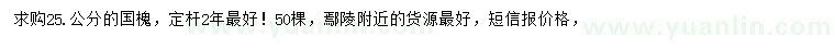 求購25公分國槐
