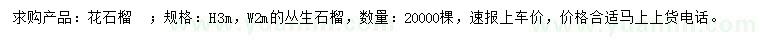 求購(gòu)高3米花石榴