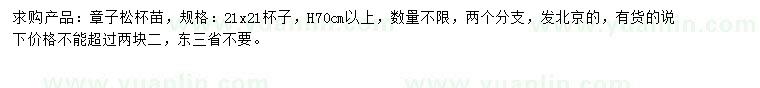 求購高70公分以上樟子松
