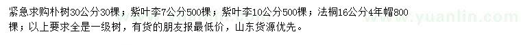 求購樸樹、紫葉李、法桐