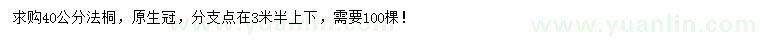 求購(gòu)40公分法桐