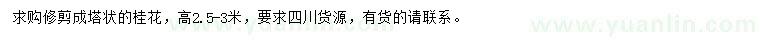 求購(gòu)高2.5-3米桂花