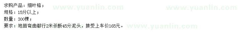 求購15公分以上細(xì)葉榕