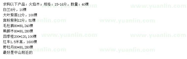 求購(gòu)火焰木、白蘭、大葉紫薇等