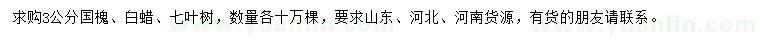 求購國槐、白蠟、七葉樹