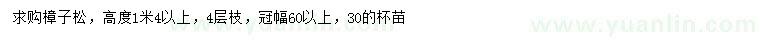 求購高度1米4以上樟子松
