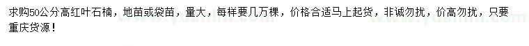 求購(gòu)高50公分紅葉石楠