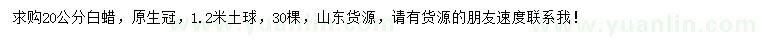 求購20公分白蠟