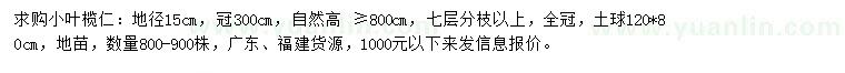 求購地徑15公分小葉欖仁