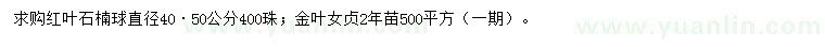 求購(gòu)紅葉石楠球、金葉女貞