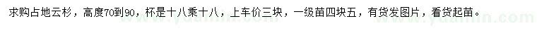 求購高70-90公分占地云杉