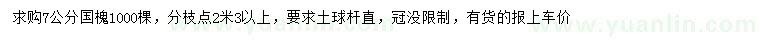 求購7公分國槐
