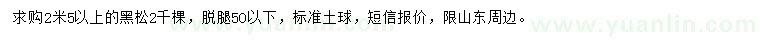 求購2.5米以上黑松