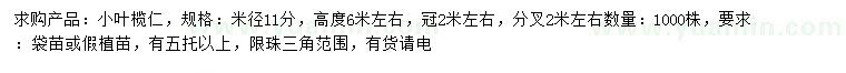 求購米徑11公分小葉欖仁