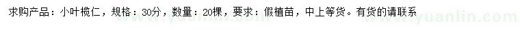 求購(gòu)30公分小葉欖仁