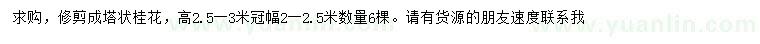 求購高2.5-3米桂花