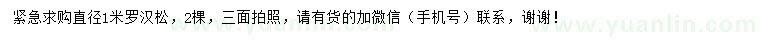 求購直徑1米羅漢松