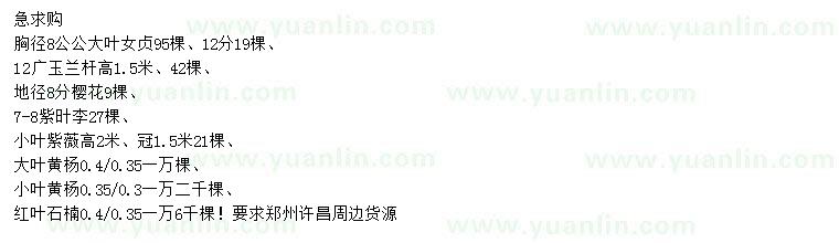 求購(gòu)大葉女貞、廣玉蘭、櫻花等