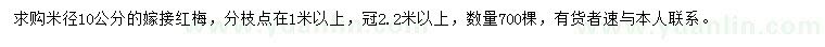 求購(gòu)米徑10公分嫁接紅梅