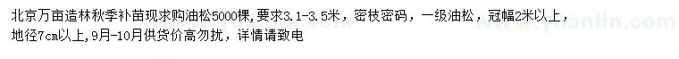 求購3-3.5米油松