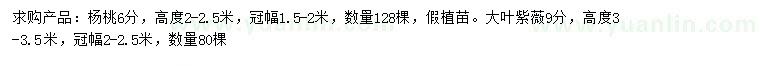 求購(gòu)高2-2.5米楊桃、3-3.5米大葉紫薇