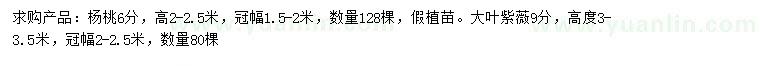 求購高2-2.5米楊桃