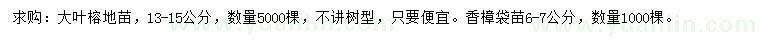 求購13-15公分大葉榕、6-7公分香樟