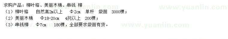求購柳葉榕、美麗木棉、串錢柳