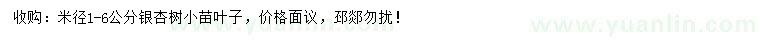求購米徑1-6公分銀杏小苗葉子