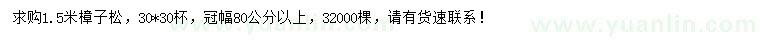 求購1.5米樟子松