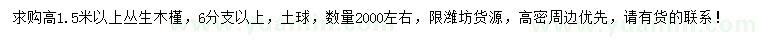 求購高1.5米以上叢生木槿