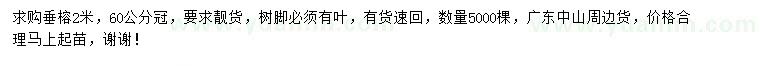 求購高2米垂榕