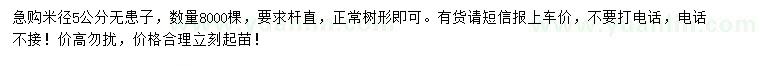 求購米徑5公分無患子