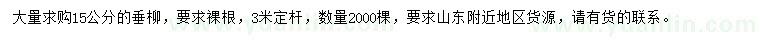 求購15公分垂柳