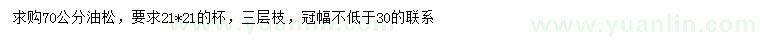 求購70公分油松