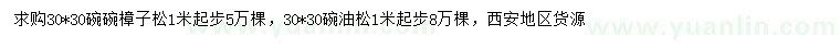 求購1米起步樟子松、油松
