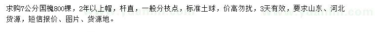 求購7公分國槐