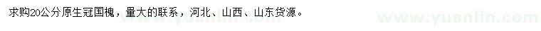 求購20公分國槐