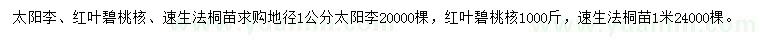 求購太陽李、紅葉碧桃核、速生法桐苗