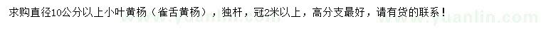 求購直徑10公分以上小葉黃楊（雀舌黃楊）
