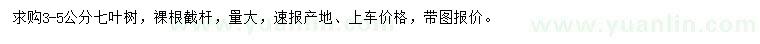 求購(gòu)3-5公分七葉樹