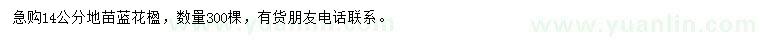 求購14公分藍花楹